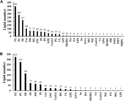 Lipidomic Profiling Reveals the Reducing Lipid Accumulation Effect of Dietary Taurine in Groupers (Epinephelus coioides)